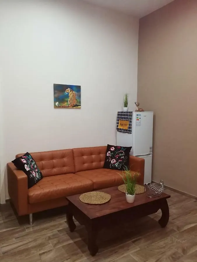 No.7 Apartments In The City Centre Budapest Hungary